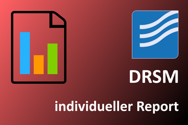 individueller Report